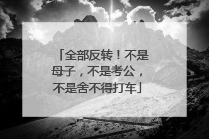 全部反转！不是母子，不是考公，不是舍不得打车