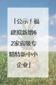 公示！福建拟新增62家省级专精特新中小企业