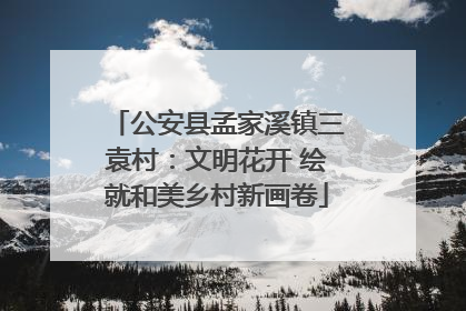 公安县孟家溪镇三袁村：文明花开 绘就和美乡村新画卷