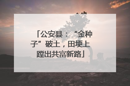 公安县：“金种子”破土，田埂上蹚出共富新路