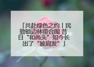 共赴绿色之约丨民勤锁边林带合围 昔日“和尚头”如今长出了“披肩发”