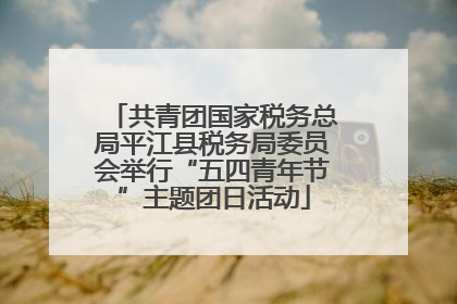 共青团国家税务总局平江县税务局委员会举行“五四青年节”主题团日活动