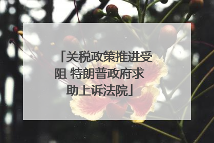 关税政策推进受阻 特朗普政府求助上诉法院