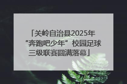 关岭自治县2025年“奔跑吧少年”校园足球三级联赛圆满落幕
