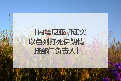 内塔尼亚胡证实以色列打死伊朗情报部门负责人