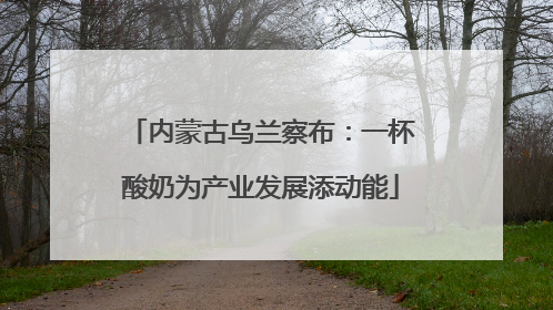 内蒙古乌兰察布：一杯酸奶为产业发展添动能