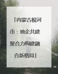 内蒙古根河市：地企共建聚合力构建融合新格局