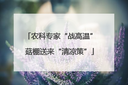 农科专家“战高温” 菇棚送来“清凉策”