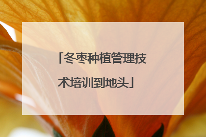 冬枣种植管理技术培训到地头