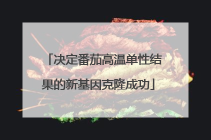 决定番茄高温单性结果的新基因克隆成功