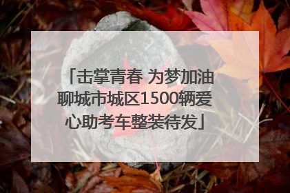 击掌青春 为梦加油 聊城市城区1500辆爱心助考车整装待发