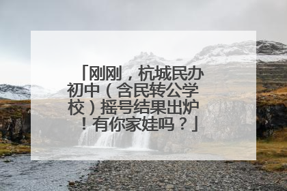 刚刚，杭城民办初中（含民转公学校）摇号结果出炉！有你家娃吗？