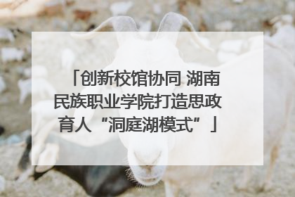 创新校馆协同 湖南民族职业学院打造思政育人“洞庭湖模式”