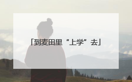 到麦田里“上学”去