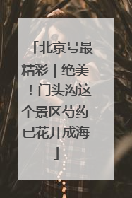 北京号最精彩｜绝美！门头沟这个景区芍药已花开成海