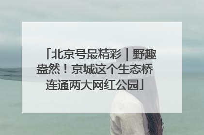 北京号最精彩｜野趣盎然！京城这个生态桥连通两大网红公园