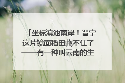 坐标滇池南岸！晋宁这片镜面稻田藏不住了——有一种叫云南的生活之365天