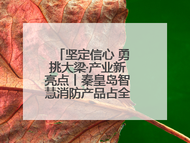 坚定信心 勇挑大梁·产业新亮点丨秦皇岛智慧消防产品占全国市场超四成