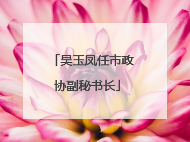 吴玉凤任市政协副秘书长