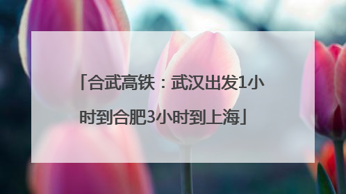 合武高铁：武汉出发1小时到合肥3小时到上海