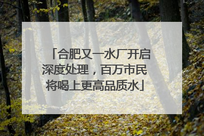 合肥又一水厂开启深度处理，百万市民将喝上更高品质水