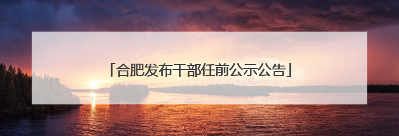 合肥发布干部任前公示公告