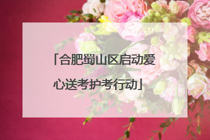合肥蜀山区启动爱心送考护考行动
