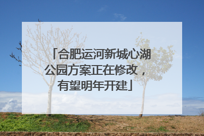 合肥运河新城心湖公园方案正在修改，有望明年开建