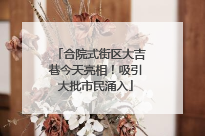 合院式街区大吉巷今天亮相！吸引大批市民涌入