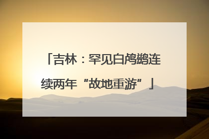 吉林：罕见白鸬鹚连续两年“故地重游”
