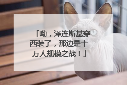 呦，泽连斯基穿西装了，那边是十万人规模之战！