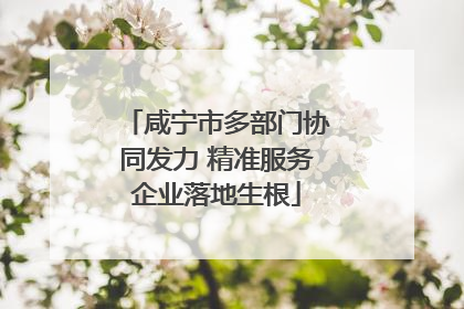 咸宁市多部门协同发力 精准服务企业落地生根