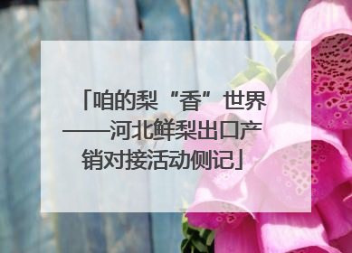 咱的梨“香”世界——河北鲜梨出口产销对接活动侧记