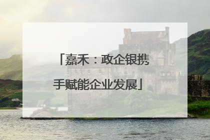 嘉禾：政企银携手赋能企业发展