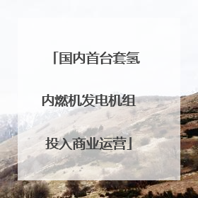 国内首台套氢内燃机发电机组投入商业运营