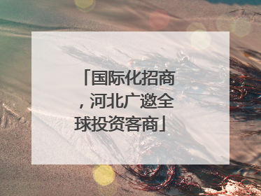 国际化招商，河北广邀全球投资客商