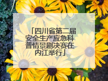 四川省第二届安全生产应急科普情景剧决赛在内江举行