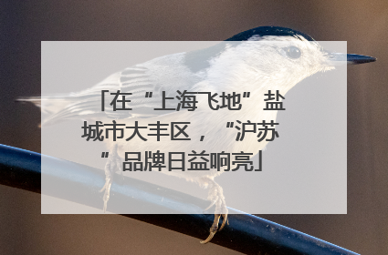 在“上海飞地”盐城市大丰区，“沪苏”品牌日益响亮