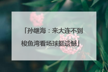 孙继海：来大连不到梭鱼湾看场球挺遗憾