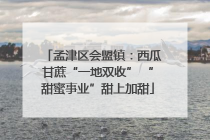 孟津区会盟镇：西瓜甘蔗“一地双收” “甜蜜事业”甜上加甜