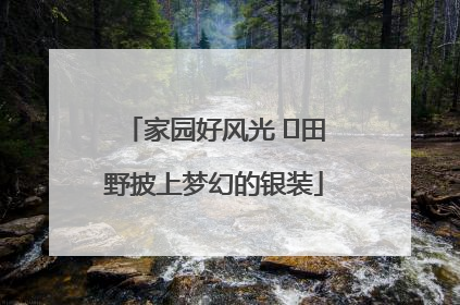 家园好风光 ⎮田野披上梦幻的银装