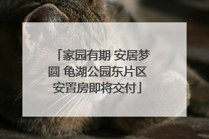 家园有期 安居梦圆 龟湖公园东片区安置房即将交付