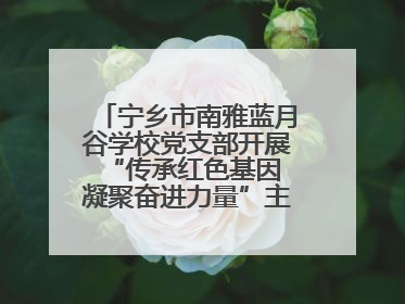 宁乡市南雅蓝月谷学校党支部开展“传承红色基因 凝聚奋进力量”主题党日活动