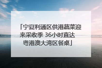 宁夏利通区供港蔬菜迎来采收季 36小时直达粤港澳大湾区餐桌