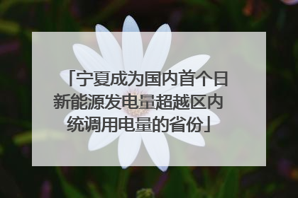 宁夏成为国内首个日新能源发电量超越区内统调用电量的省份