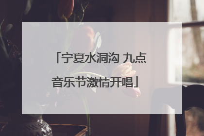 宁夏水洞沟 九点音乐节激情开唱