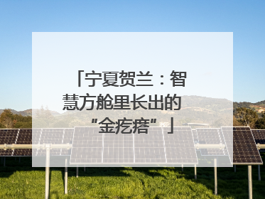 宁夏贺兰：智慧方舱里长出的“金疙瘩”