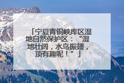 宁夏青铜峡库区湿地自然保护区：“湿地壮阔，水鸟振翅，顶有趣呢！”