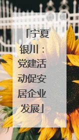 宁夏银川：党建活动促安居企业发展