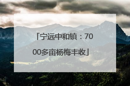 宁远中和镇：7000多亩杨梅丰收